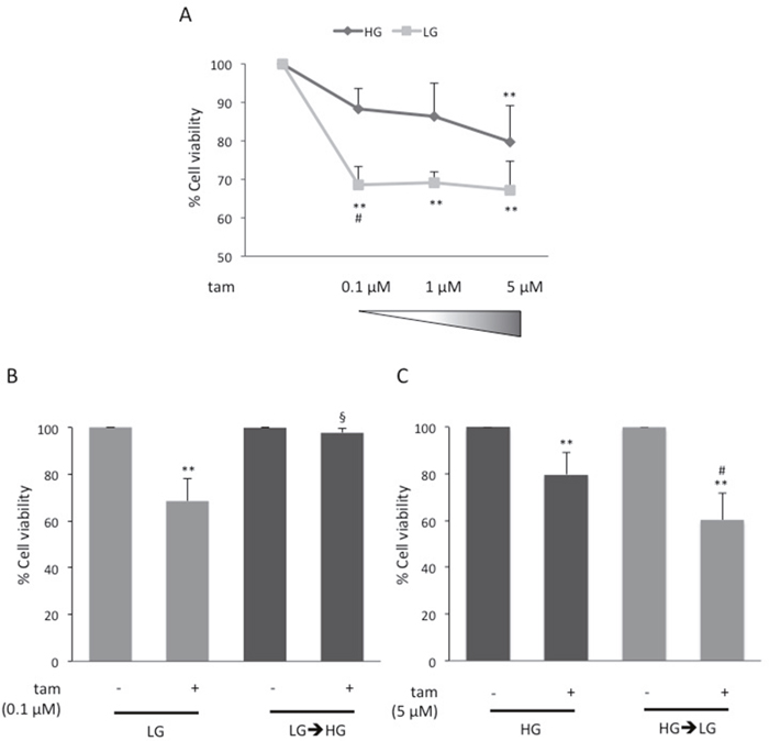 Effect of glucose on MCF7 cell responsiveness to tamoxifen.