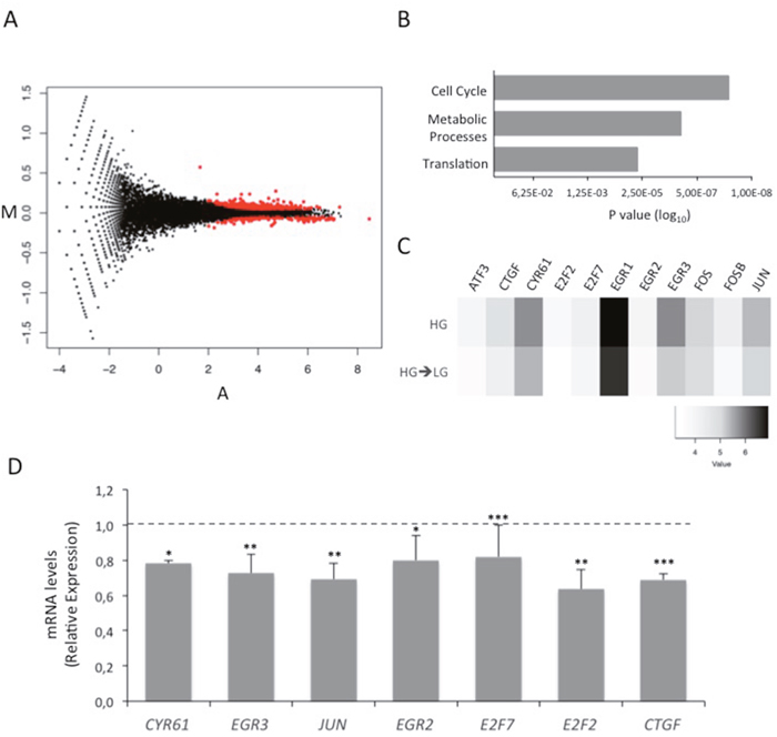 Effect of glucose on MCF7 cell transcriptome.