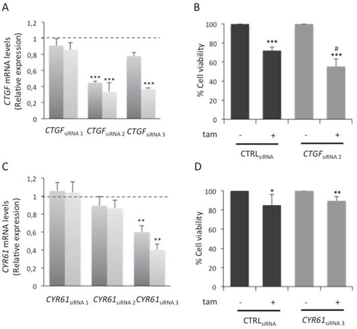 Role of glucose-induced CTGF on HG cell responsiveness to tamoxifen.