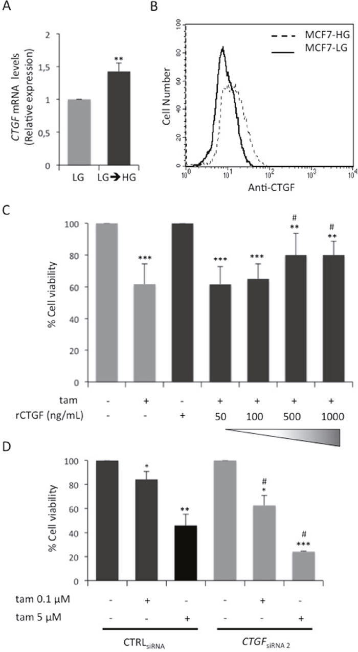 Role of glucose-induced CTGF on LG cell responsiveness to tamoxifen.