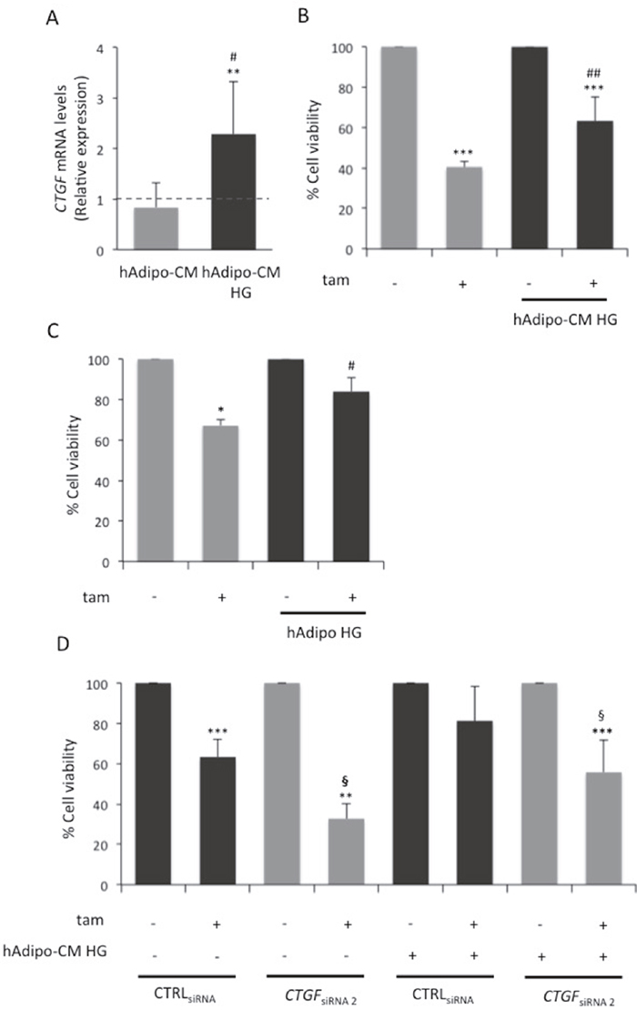 Role of CTGF in glucose-induced adipocyte-effect on MCF7 responsiveness to tamoxifen.