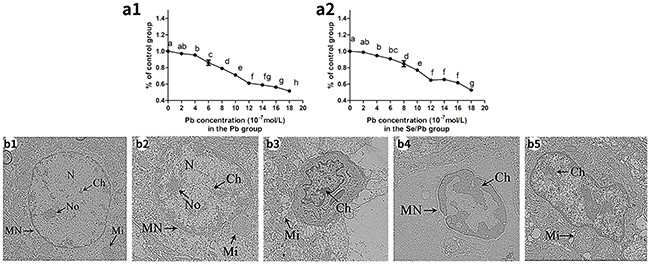 Cell viabilities of the chicken embryonic neurocytes for 48 hours and the ultrastructure of the chicken brain tissues on the 90th day.