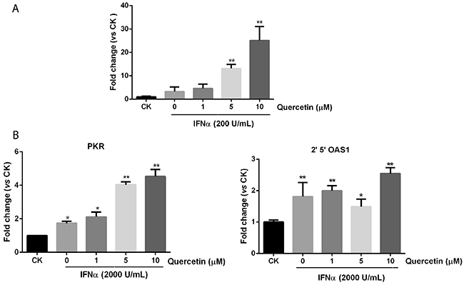 Quercetin promotes downstream genes expression in JAK/STAT pathway.