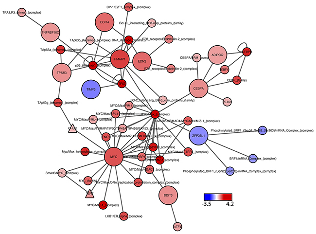 PARADIGM subnetwork for top-hit genes.