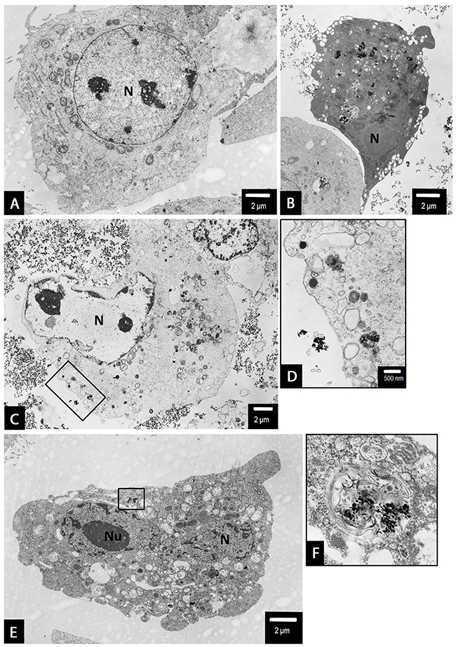 Figure 10: