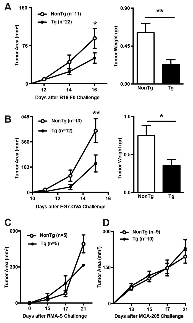 Comparison of tumor growth rates between shCD5E&mu;Tg and NonTg mice.