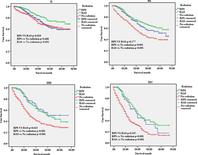The survival curves of three groups in tumor stage subgroups.