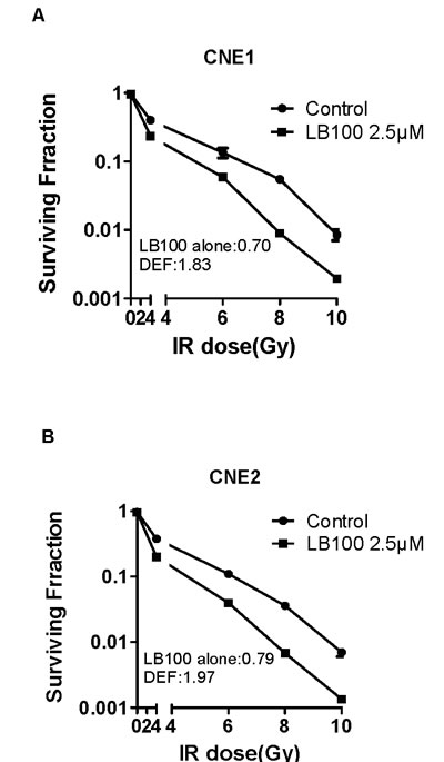 The effects of LB100 on radiosensitivity of CNE1 and CNE2 by clonogenic assay.
