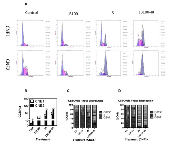LB100 and IR induce cell cycle progression in CNE1 and CNE2 cells.