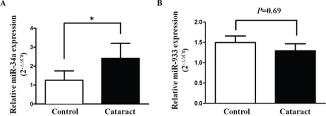 Expression status of miR-34a and miR-933 in age-related cataracts.