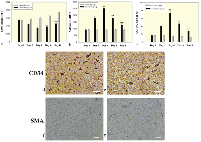 Microvessel density and pericyte coverage in C6 glioma.
