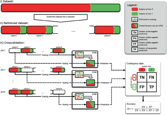 Schematic representation of 10x10 cross validation procedure.