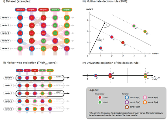 Training of mixed miRNA / mRNA classifiers.