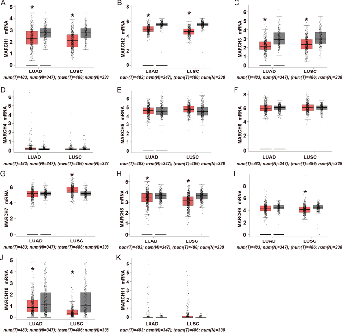 Expression of MARCH family members in human lung cancer.