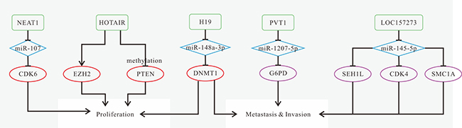 Mechanisms