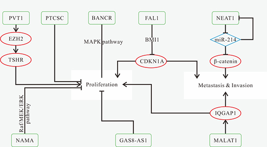 Mechanisms