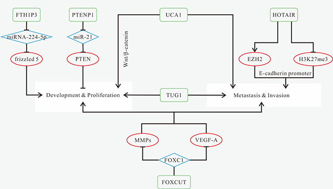 Mechanisms