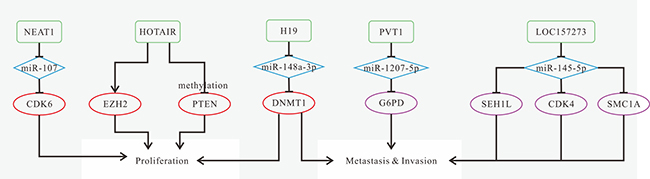 Mechanisms