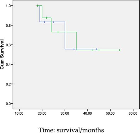 Survival curves of the two groups of patients(Remission and non-remission group).