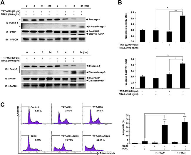 Lead compounds induce TRAIL-mediated apoptosis via caspase signals in Huh7 cells.