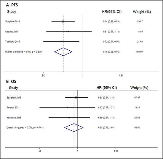 Forest plots of the pooled HRs for PFS and OS by NSCLC subgroup.