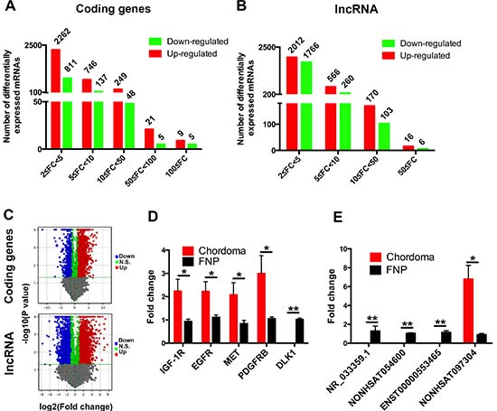 Profile and verification of the differentially expressed mRNAs and lncRNAs.