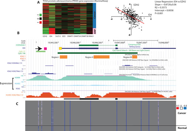 Meta-analysis of ID4 expression and epigenetic re-programming in prostate cancer and cell lines.