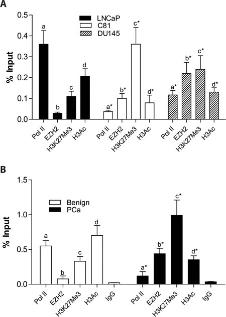 Enrichment of EZH2 and histone modifications on ID4 promoter in prostate cancer cell lines and tissue on Chromatin immuno-precipitated (ChIP) DNA.