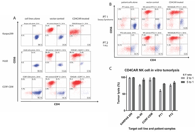 CD4CAR NK-92 cells ablate CD4&#x002B; leukemia and lymphoma cells in co-culture assays.