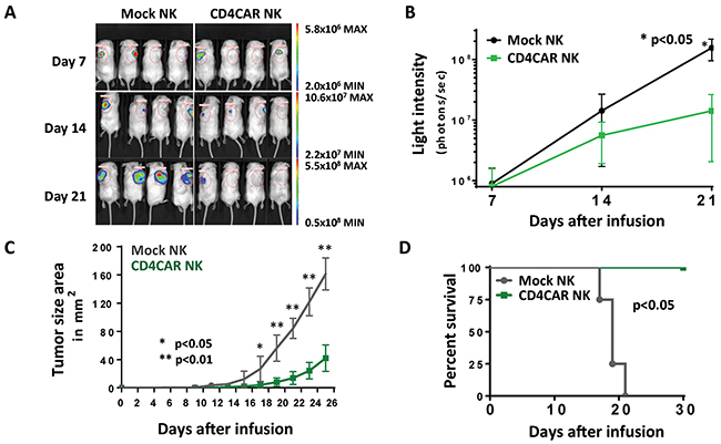 CD4CAR NK-92 cells demonstrate anti-leukemic effects in vivo.