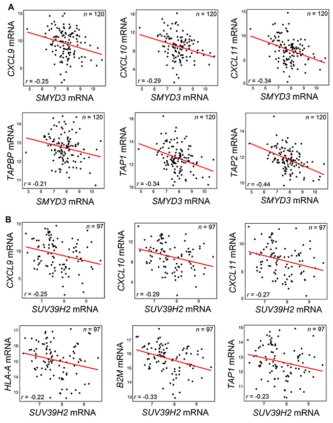 Negative correlations between SMYD3 (A) or SUV39H2 (B) and chemokines or APM molecules.