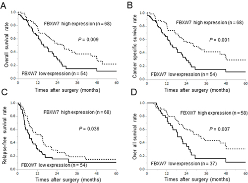 Survival curves according to FBXW7 expression in pancreatic cancer.