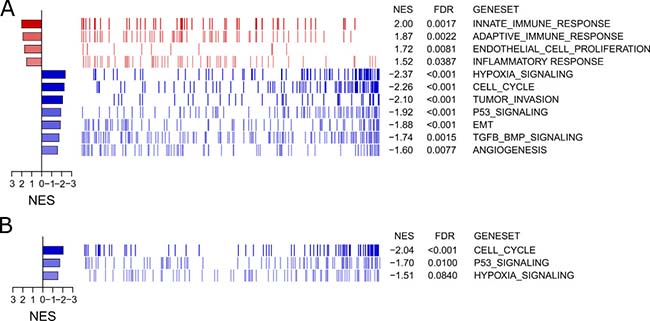Gene signature enrichment analyses for specific pathways.