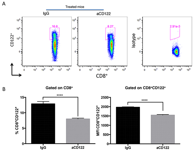 Treatment with 5H4 mAb reduced CD8&#x002B;CD122&#x002B; T cell population.