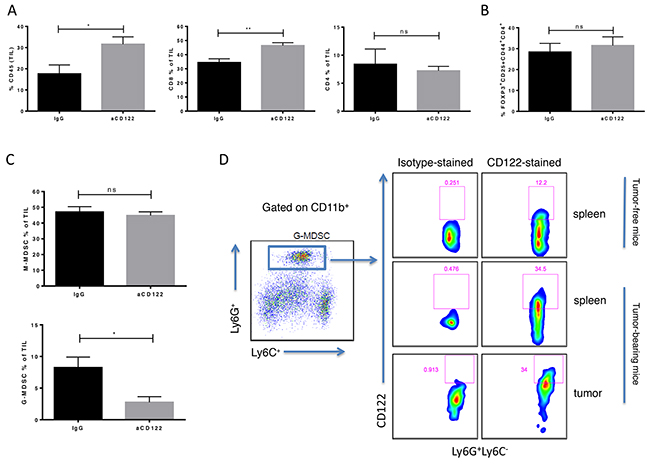 CD122 mAb treatment altered the cellular composition of the tumor immune microenvironment in the B16-OVA melanoma model.