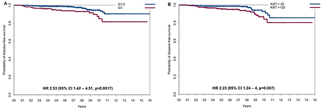 Disease-free survival according to the main prognostic factors.