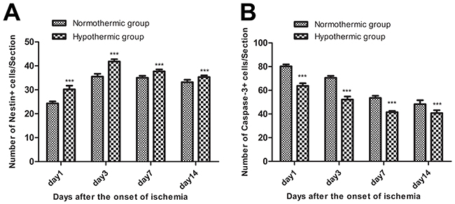 Figure 3: