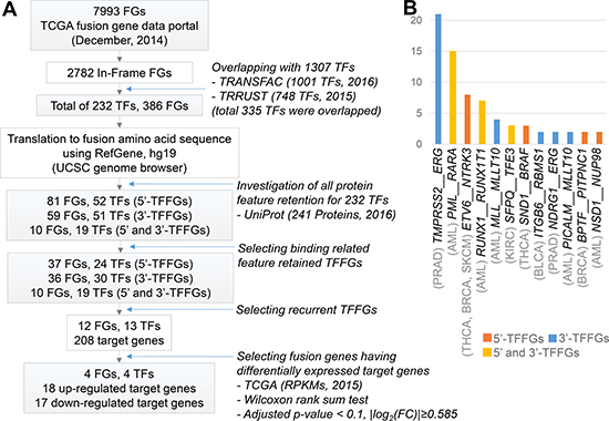 Pan-cancer analysis of TFFGs.