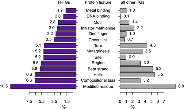 Comparison of retained protein features between TFFGs and all other FGs.