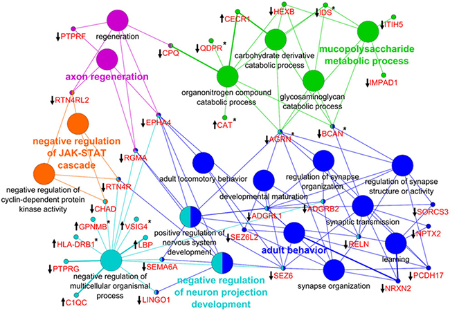 Network enrichment analysis of differentially abundant proteins.