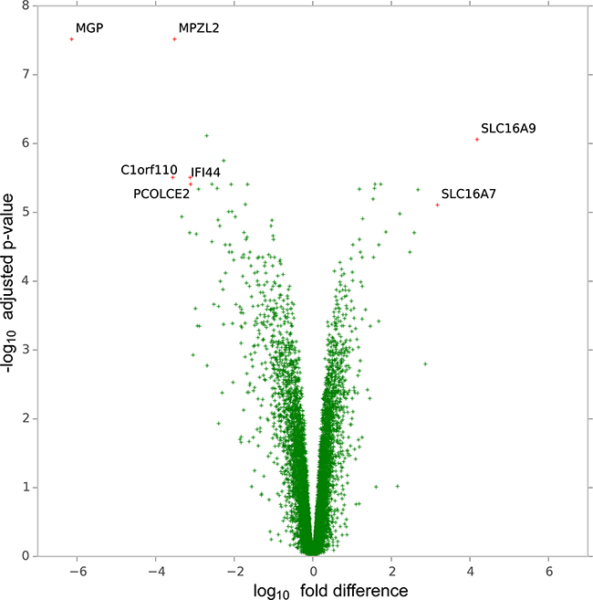 Volcano plot of genes according to the magnitude (fold-difference, x-axis) and significance level (-log10 adjusted p-value, y-axis) of their difference in expression in H1975C5 and H1975C5 cells compared to H1975DM cells from gene expression array analysis.