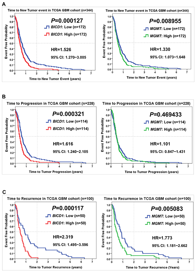 Comparisons of BICD1 with MGMT expression in predicting other survival events of patients in the TCGA GBM cohort by the Kaplan-Meier survival analysis.
