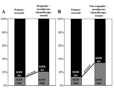 Bar graphs depict EGFR expression level distribution (EGFR-high vs.