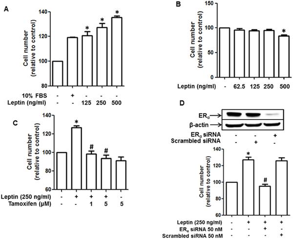 Role of estrogen receptor (ER) signaling in leptin-induced growth of breast cancer cells.