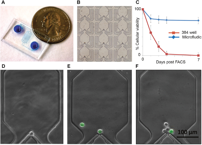 Single cell microfluidics chips allow efficient capture and monitoring of ovarian cancer stem cells.