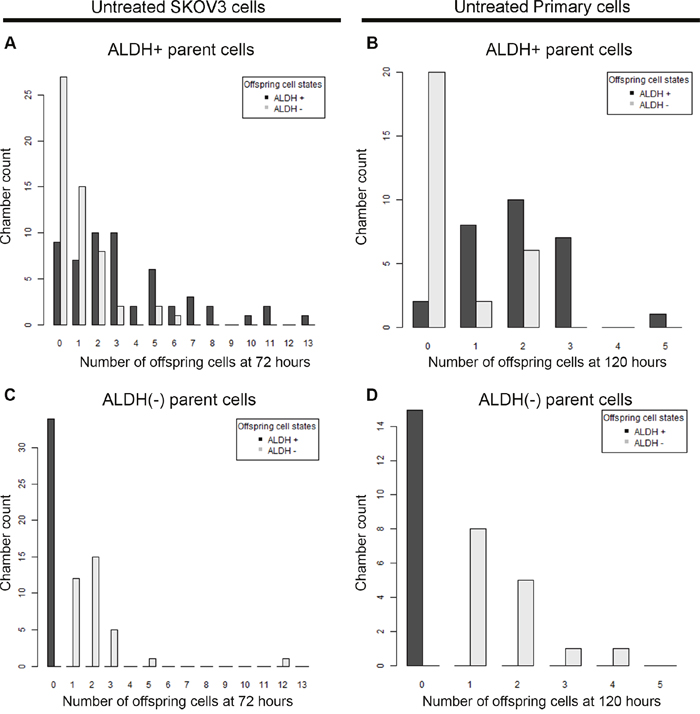 ALDH+ and ALDH(-) cells produce different numbers of offspring in microfluidics chambers.