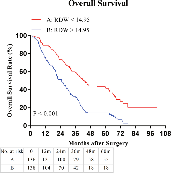 Overall survival (OS) based on red blood cell distribution width (RDW) in hilar cholangiocarcinoma patients with radical resection: the 5-year OS rate in the RDW < 14.95 group were significantly higher than the RDW >14.95 group.
