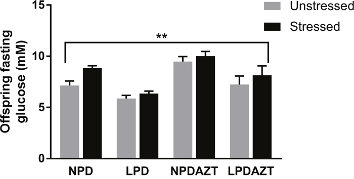 The fasting glucose of the offspring was significantly increased by maternal stress (p&#x003C;0. 002).
