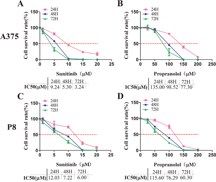 Sunitinib and propranolol effects on cell proliferation in A375 and P8 melanoma cell lines.