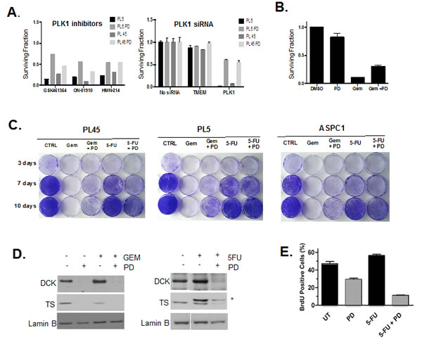 Drug specific effect of CDK4/6 inhibition on chemotherapy.